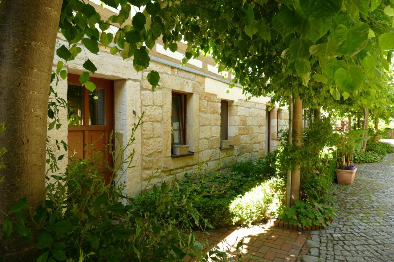 No.5 - Ferienwohnung Schkade Kleingiesshubel Eksteriør billede